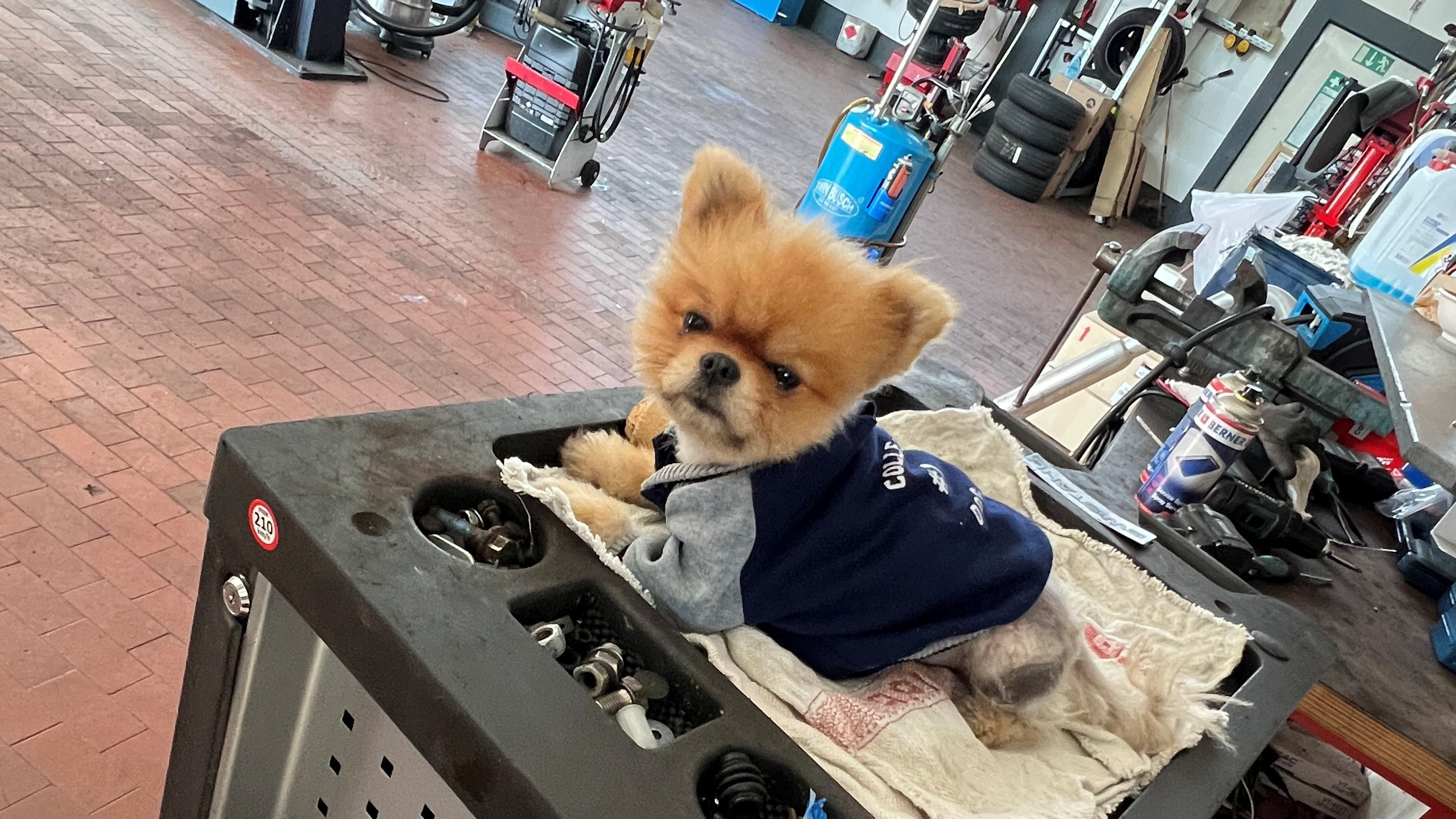 Wir suchen zur Verstärkung einen zuverlässigen  und motivierten Kfz-Mechatroniker